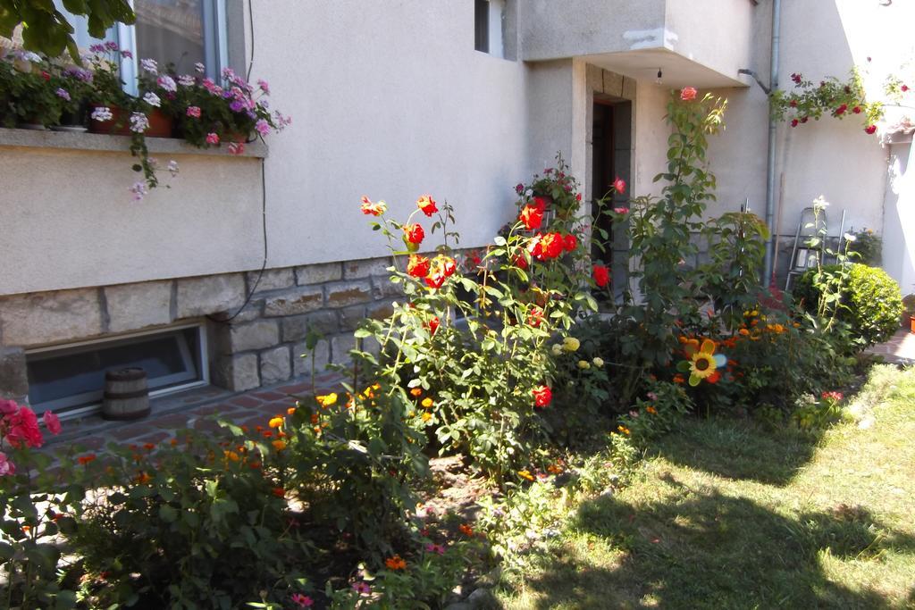 Borova House Hotel Trjavna Kültér fotó