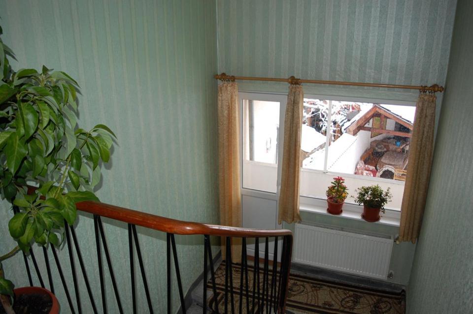 Borova House Hotel Trjavna Kültér fotó
